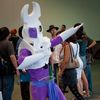 AX2010_0385
